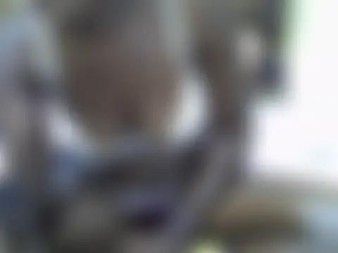 black_eebbony Ruang Obrolan Langsung