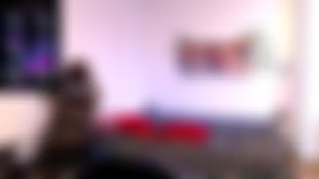 bella_warzon чат на живо