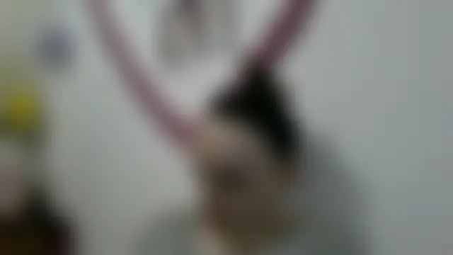 Trinsy_Love Live Chatrum