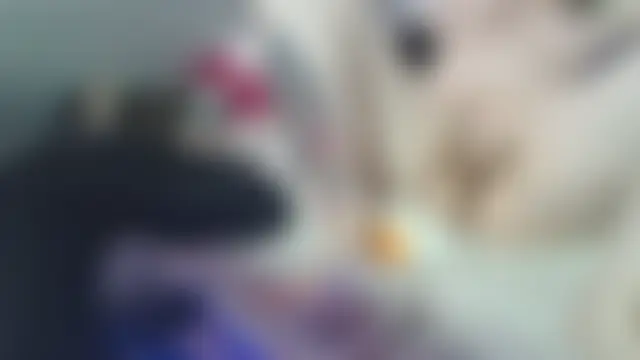 Sala de chat en directo de E-Bonny