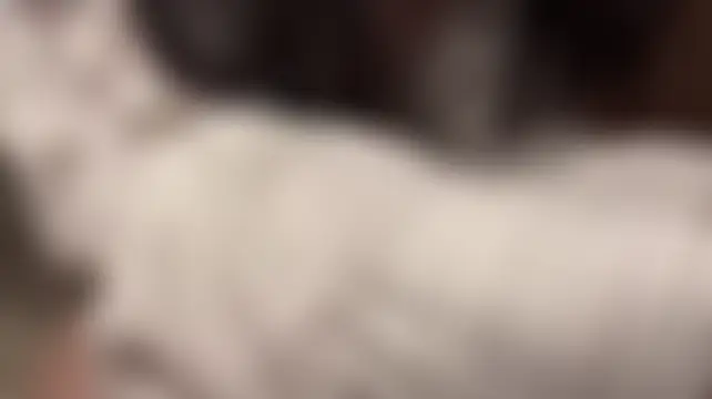 Sala de chat en directo de AsyaLuxe