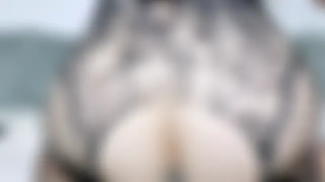 helenamoeller Live Chatraum