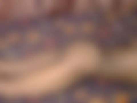 חדר צ'אט בשידור חי של preety_lizz