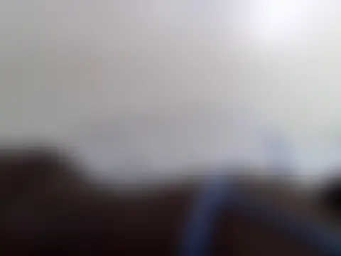 petiteebonyp чат на живо