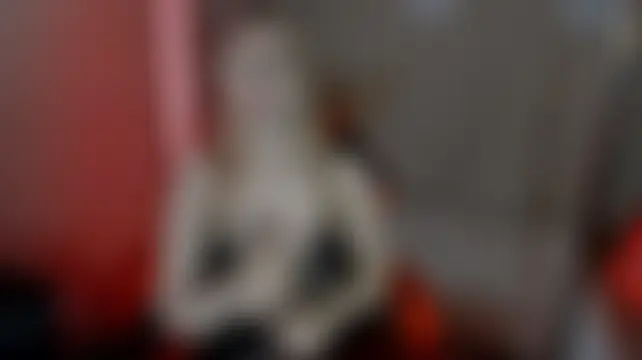 MarryMilow লাইভ চ্যাট রুম