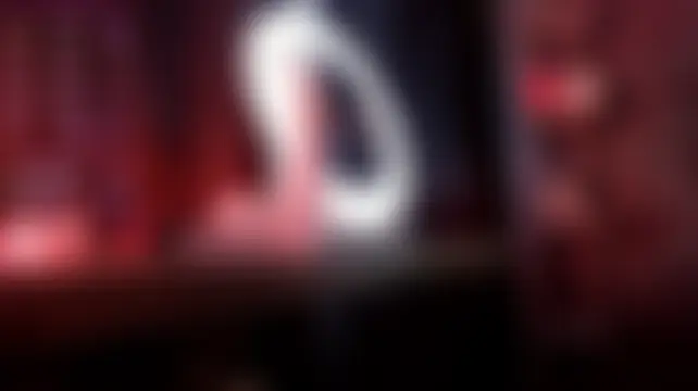 Regina_Iris 실시간 채팅방