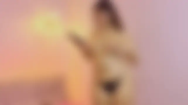 BELLA_TENTATION_CR чат на живо