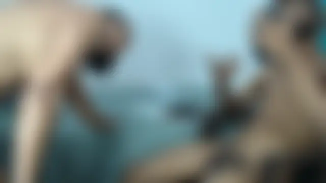 Chat soba uživo modela MichellSexxyy69
