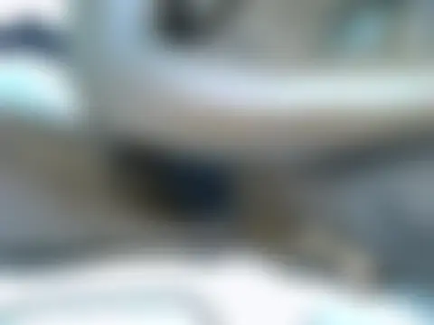 Živá chatovací místnost quenbella