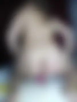 any_mour Live Chatrum