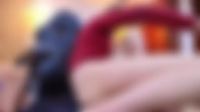 Chat soba uživo modela Dafne_castro_
