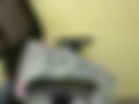 Bilik Sembang Langsung Aniee2