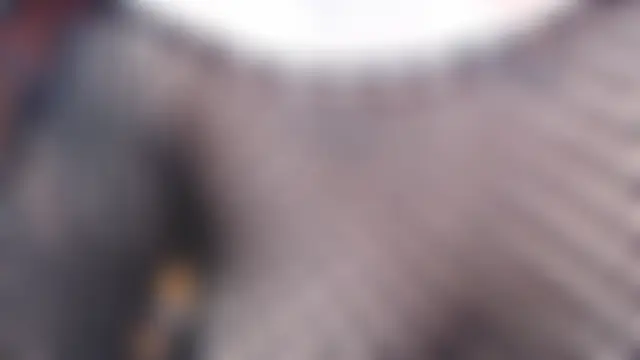 _alexa19pretty_ লাইভ XXX চ্যাট