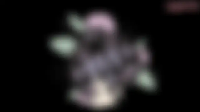 jannaink_ live-chat rom