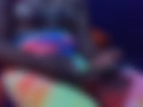Keep_it_reel লাইভ চ্যাট রুম