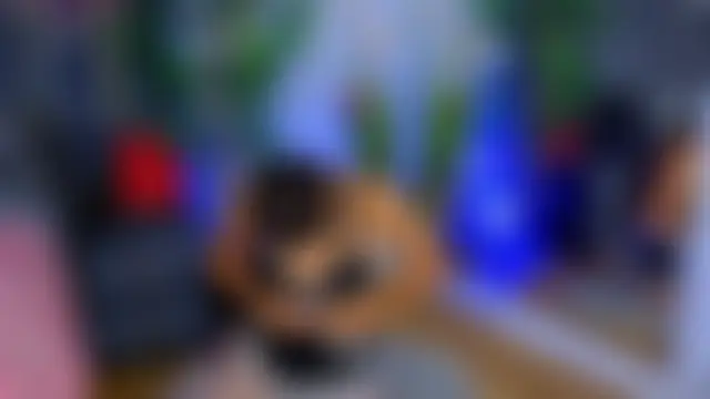 ValeryXEvan Live XXX Chat