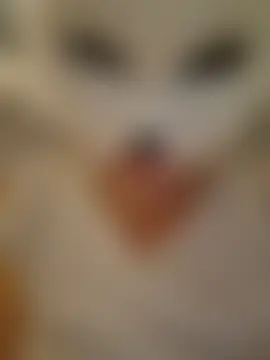 SPrITZMAUS Live Chatraum