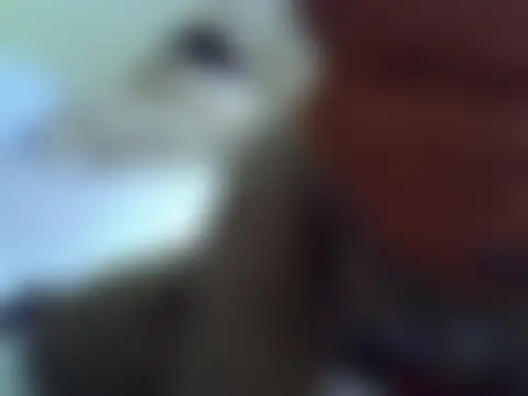 Prettydoll9's Live Chat Room