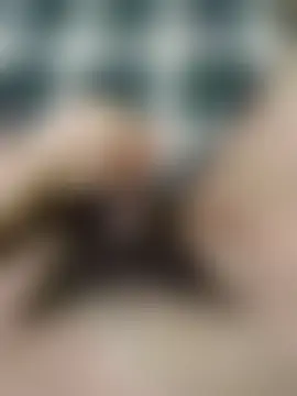 UxorialMoralist's Live Sex Cam Show