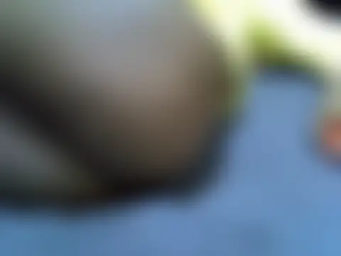 sweet_veebousetn Live XXX chat