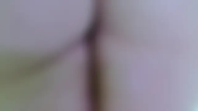elektra_32 Chat XXX in diretta