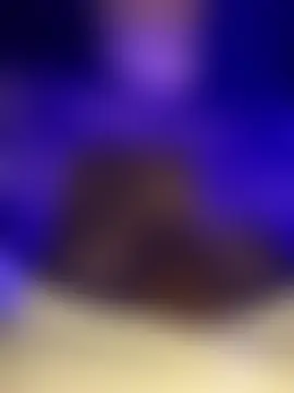 צ'אט XXX בשידור חי של violettdolly