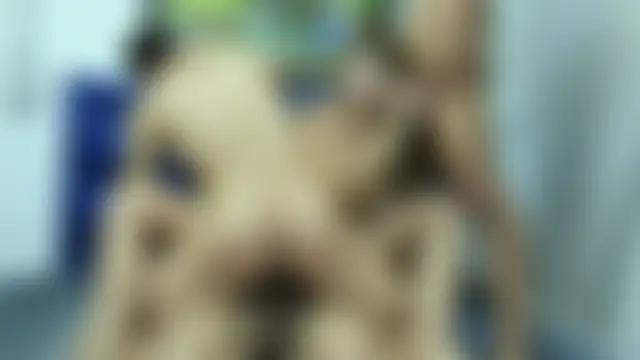 CamilaGirlAndTwoBoy 网络视讯表演