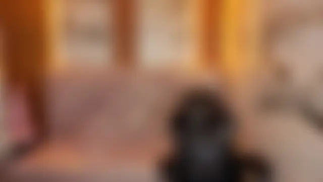 Živý XXX chat Madison08_ch