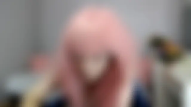 Sala de chat ao vivo de Estheri