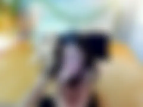 Stella_wilde Live Chatrum
