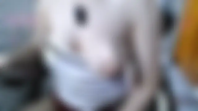 Shiny_68 即時聊天室