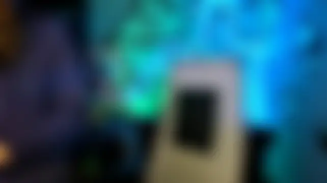 LidaDarknet 现场聊天室