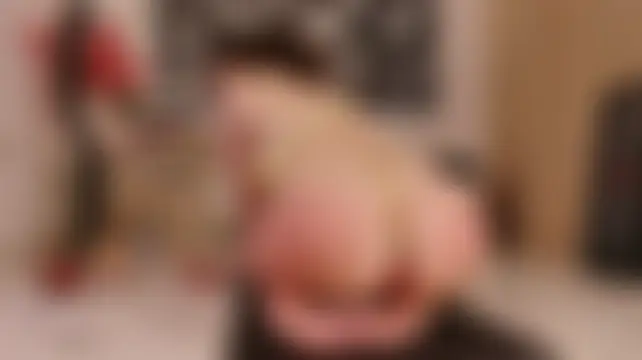 evelaurent Live Chatrum