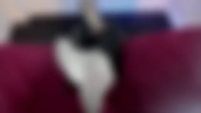 Živá chatovací místnost _Jade_16
