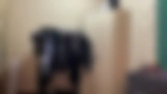 __Kiki's Live Chat Room