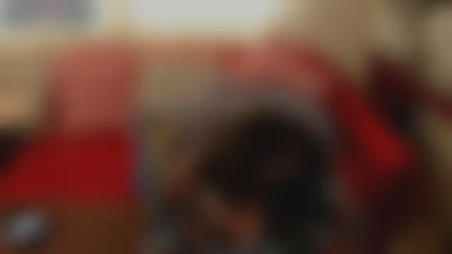 ella_harry Live XXX-chat