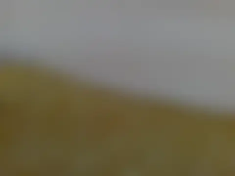 Tehiller Live Chatrum