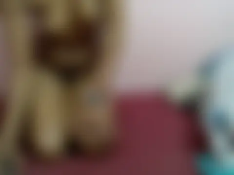 pretty_buddie Live Chatrum