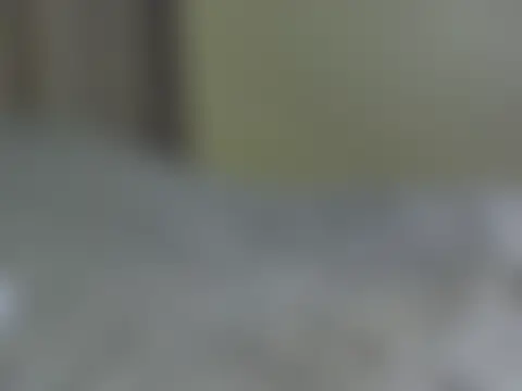 Онлайн чат zee66658