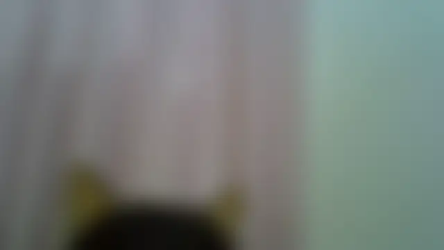 SkinnyKitten's Webcam Show