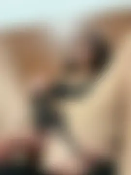 Chat XXX en directo de coquette15