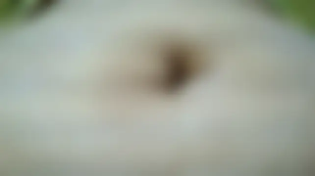 Živý XXX chat virtual_charm_