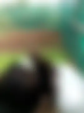 Phòng Chat Trực Tiếp Thobaby112