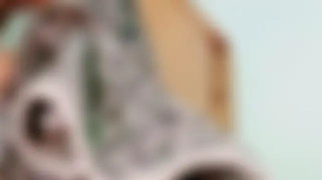 Chat XXX en directo de MojaditPussy