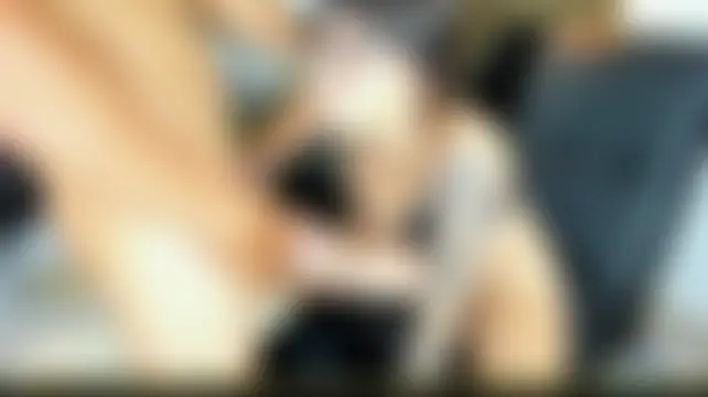 Little_sumise1 – Naživo chatovacia miestnosť