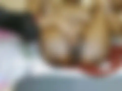Spiceykyla 现场聊天室