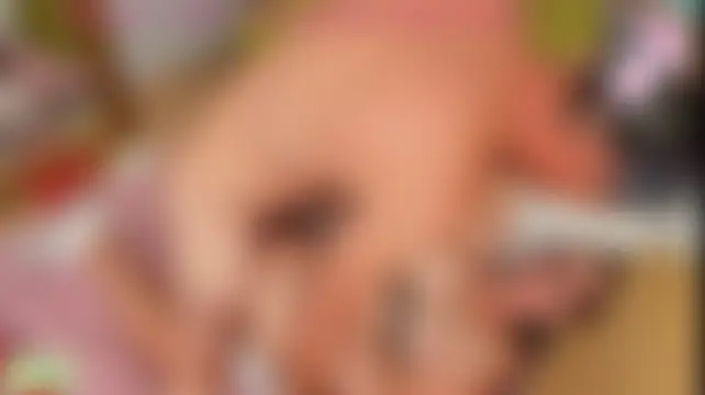 mellisuga – Naživo chatovacia miestnosť
