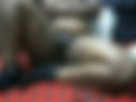 ebonyzoey's Live Chat Room