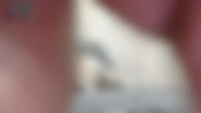 cptnprice's Live XXX Chat