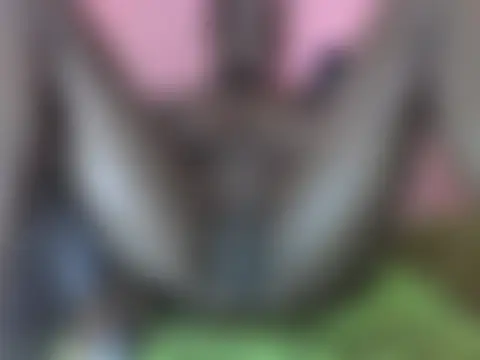 velvetnight01's Live XXX Chat
